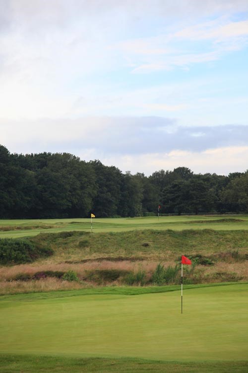 Walton Heath Golf Club- New Course, Tadworth, Surrey, England, KT207TP ...