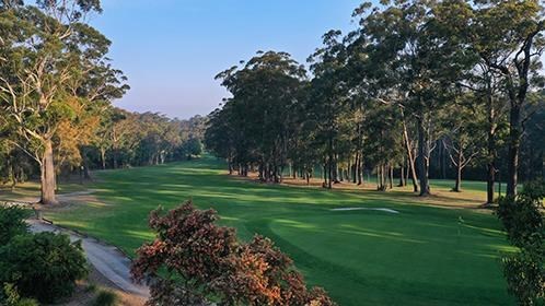 Mollymook Golf Club